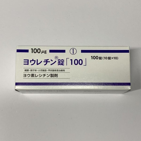 画像1: ヨウレチン錠100　100T【第一】 (1)